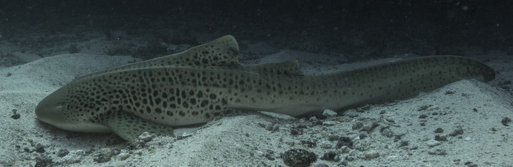 9fa8f534-f434-4ebf-8cee-b721f438edfd