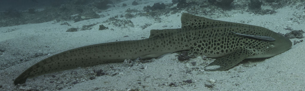 9fa8f534-f434-4ebf-8cee-b721f438edfd