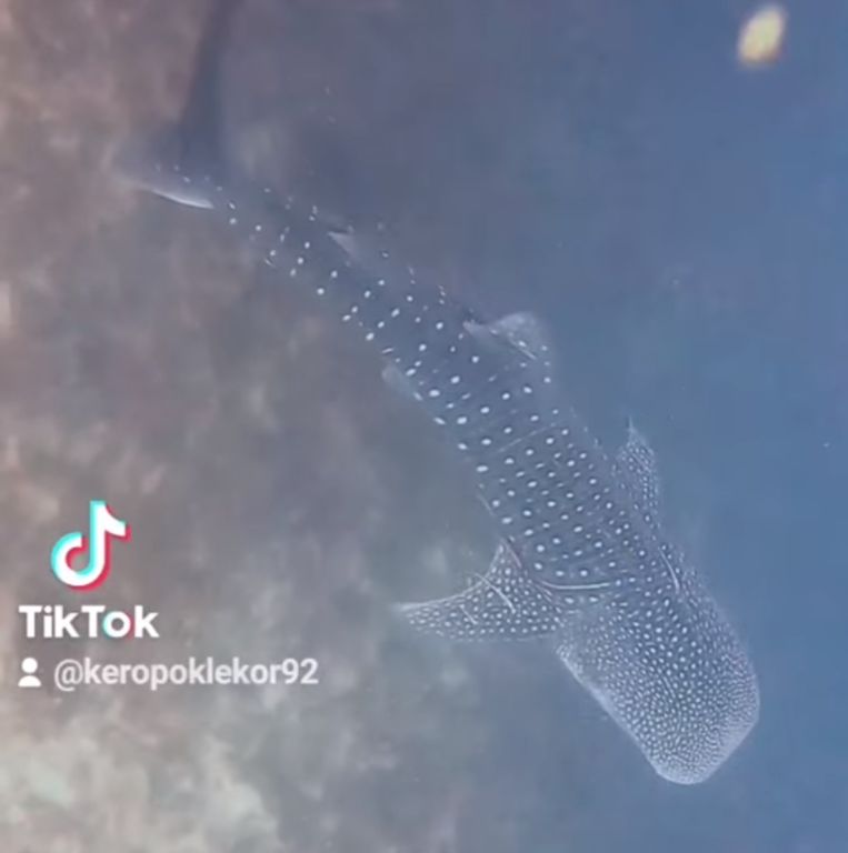 520310de-9132-49c9-93bb-73387ae5f26c