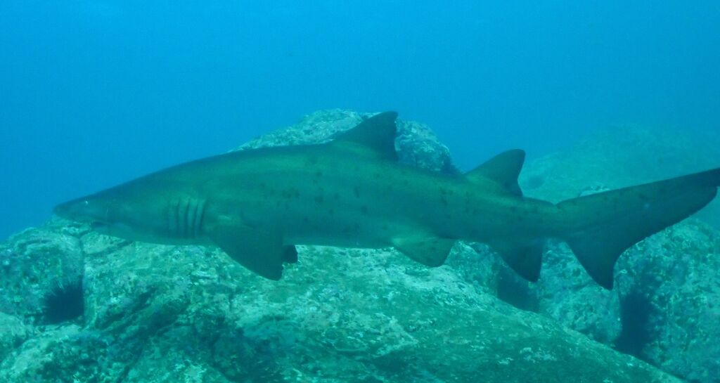 1c666270-5bba-4a18-a6fc-3c0000b644aa