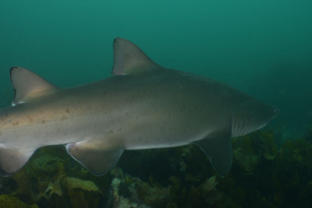 6f32db42-d645-436c-904e-fa5ce0843290