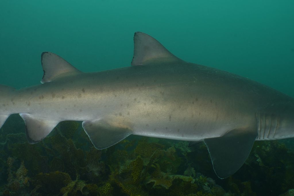 6f32db42-d645-436c-904e-fa5ce0843290