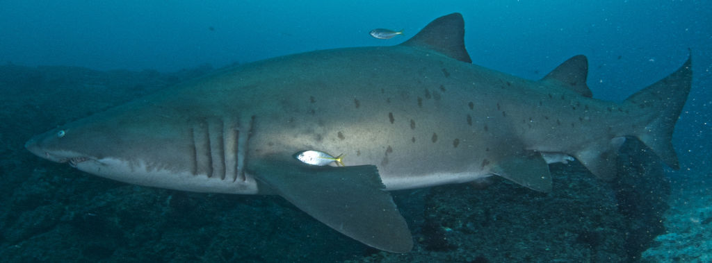 899660c3-7935-4db6-a3a2-535df346045f