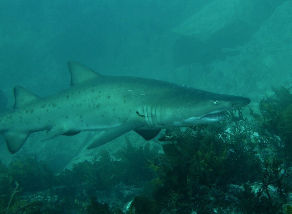 44bd9db7-4b90-4371-933a-74761b49d32a