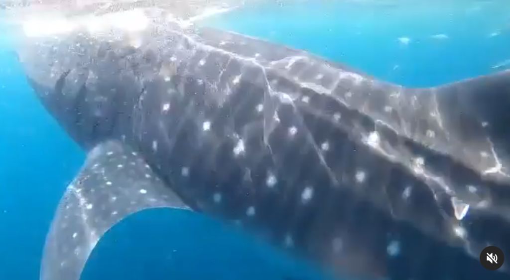 7a20c83d-172f-4a1d-91b4-0df6bc993ca3