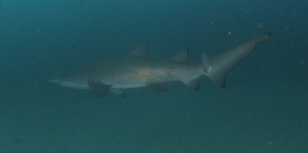 be26b409-3a66-4d4a-8f27-2452f471044d