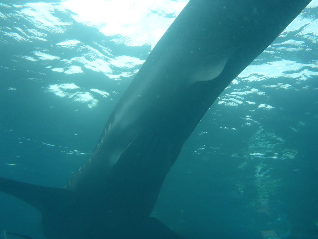 642d9ddd-b23f-453b-bcd8-6f667233519a