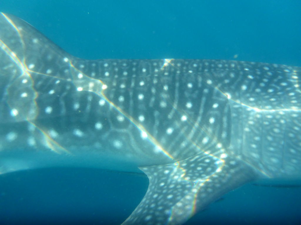 642d9ddd-b23f-453b-bcd8-6f667233519a