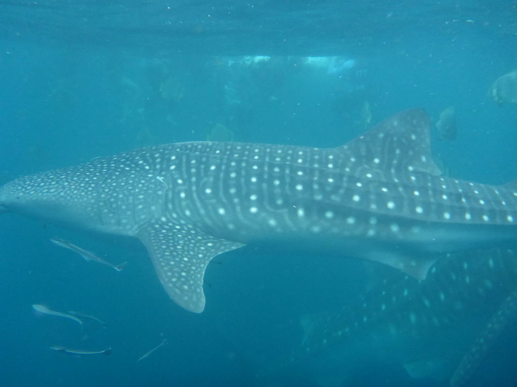 642d9ddd-b23f-453b-bcd8-6f667233519a