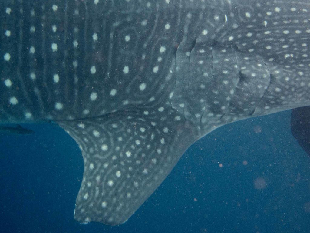 0ca01899-5820-4f46-9ff0-26bcbd1f6eb8