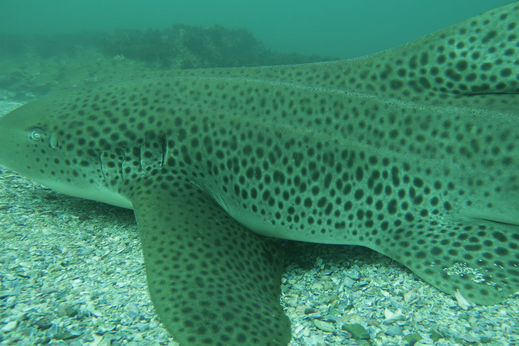 3a8ac727-08cf-456d-8203-795452334977