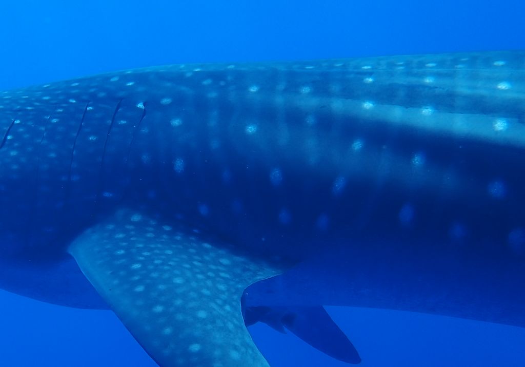 13b10032-627a-4479-add4-3ade18e52a2e