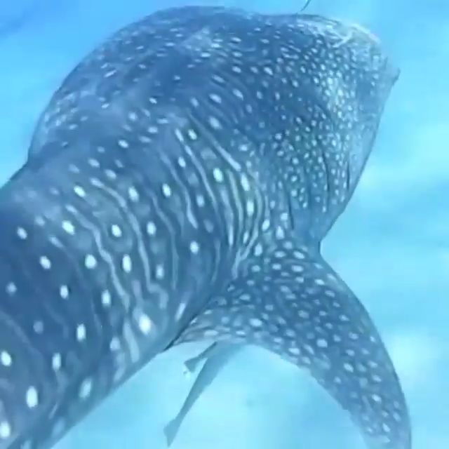 a9ac4f21-968c-419d-a11d-75bca15db2e5