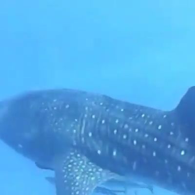 a9ac4f21-968c-419d-a11d-75bca15db2e5