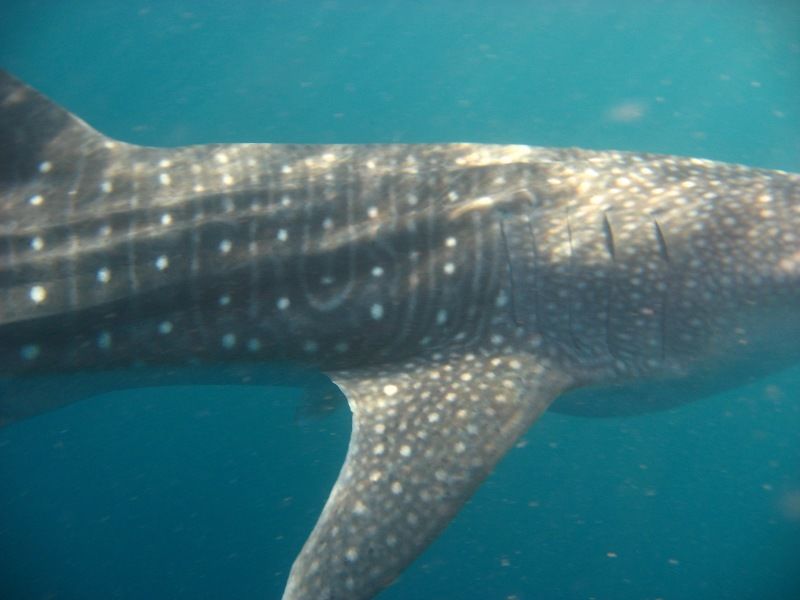 d7f2b805-d797-4907-836e-0962ddb81261