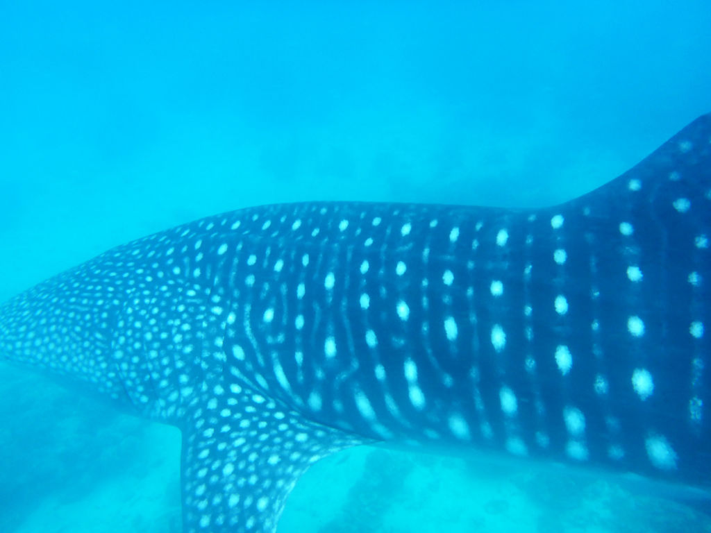 8de77b23-5926-46f2-966d-c833b1a1afa2