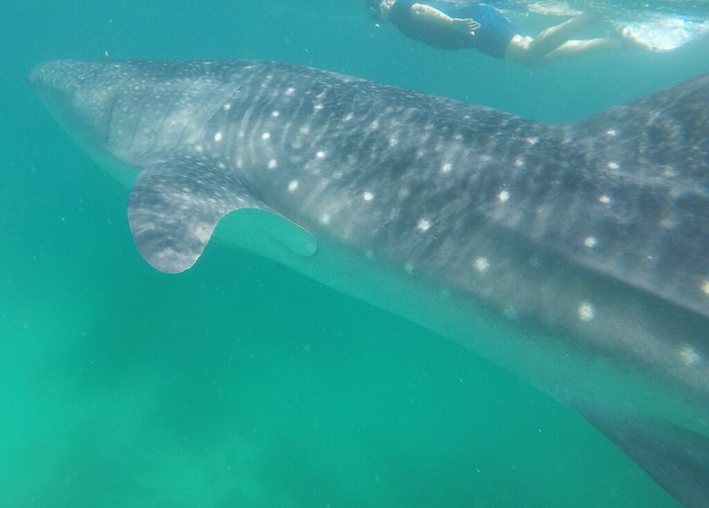 d4012751-f238-40a9-9085-ff57cc7affa3