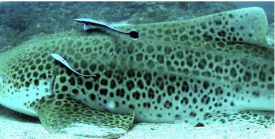 76bf3e23-759f-476e-8b48-c94661c66226