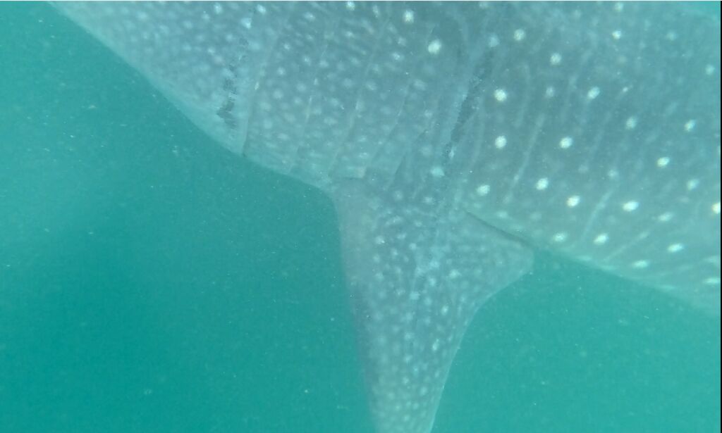 36931aba-5e75-45d2-b16c-4bc42ec0df67