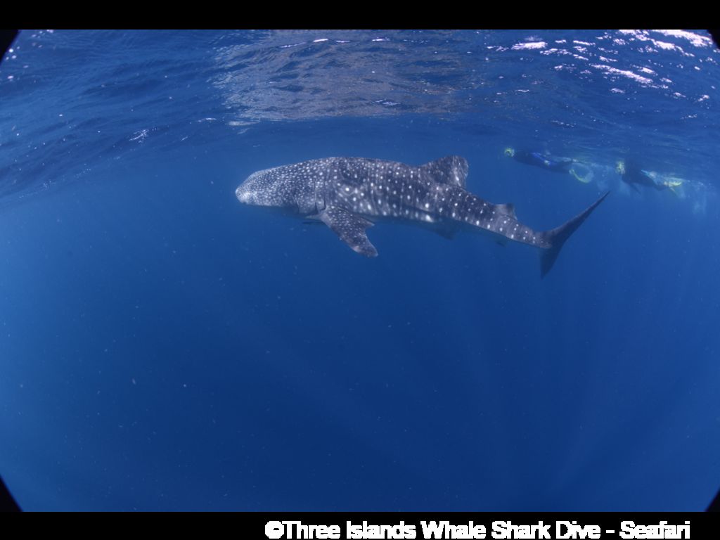 7a3aa9ee-2195-4ac6-82f7-86563795be79