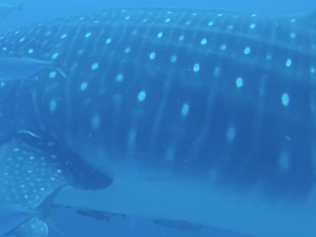 b66bb1a4-4ef8-42f5-8f50-a59f4eff6cdc