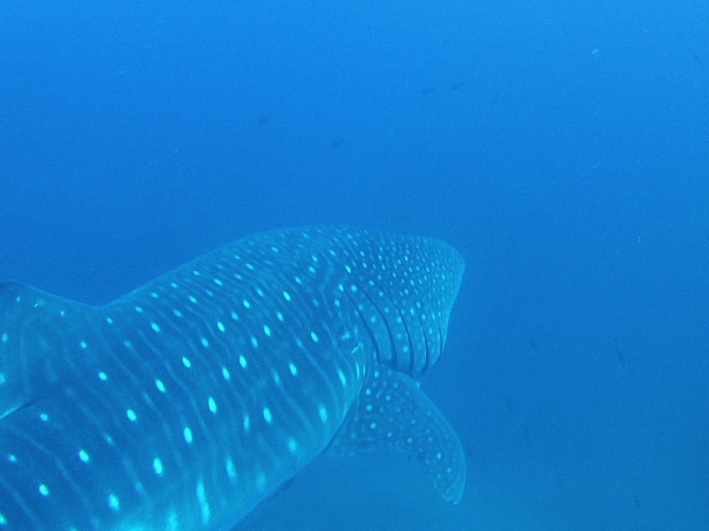 b66bb1a4-4ef8-42f5-8f50-a59f4eff6cdc