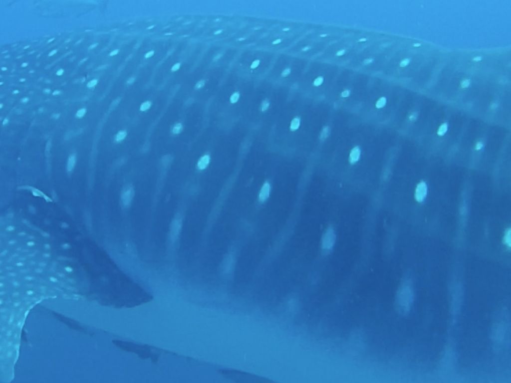 b66bb1a4-4ef8-42f5-8f50-a59f4eff6cdc