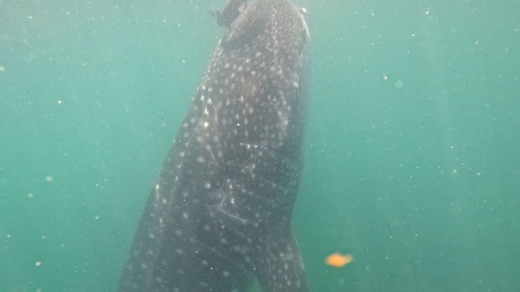 3efbed31-b57c-4ebf-be5f-60a729219c36