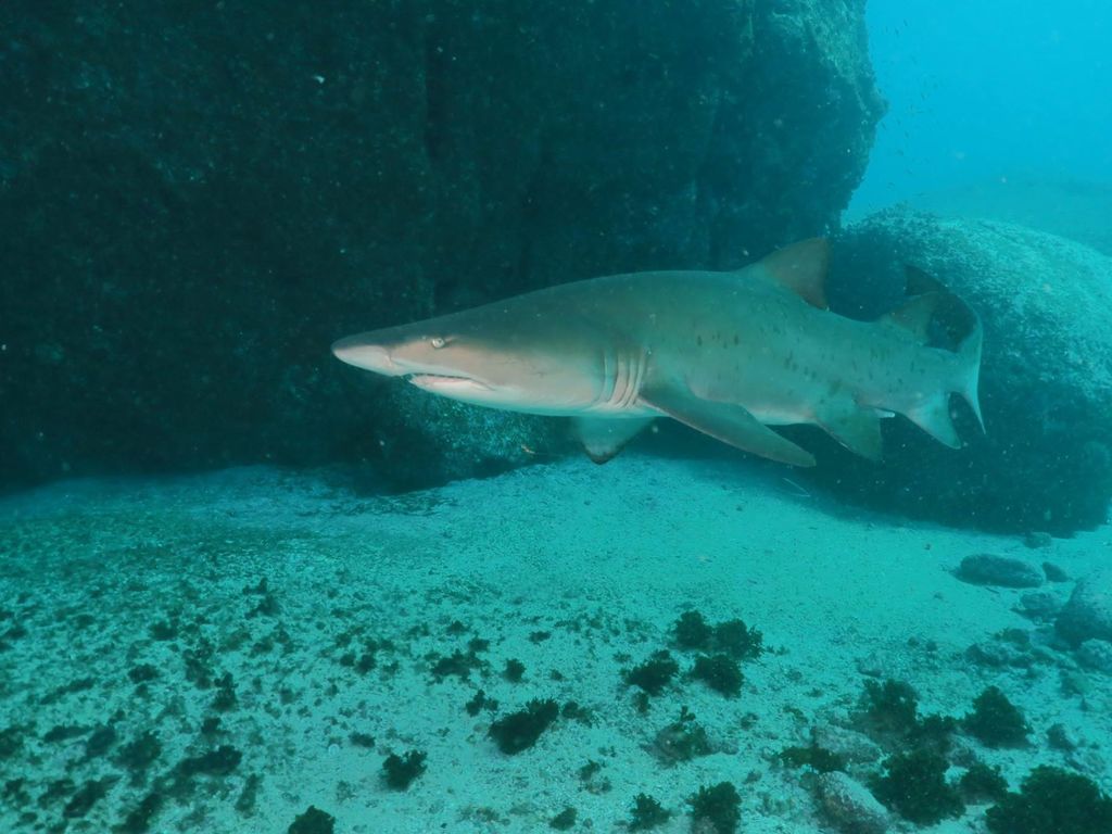 a754e4f5-4968-40a9-8f65-e513021623a6