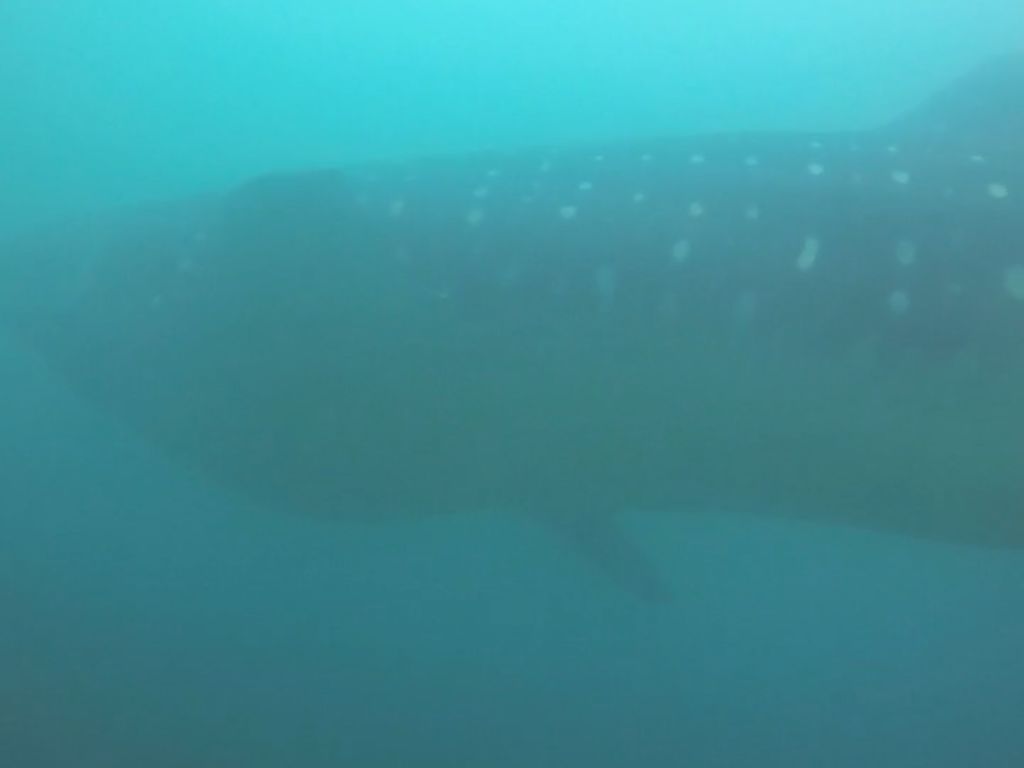 7d6cb9cb-c06c-4db2-9e43-50ba2c359c0b