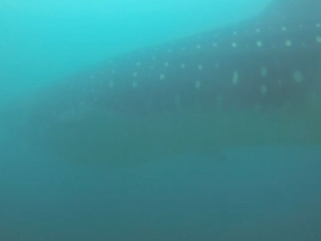 7d6cb9cb-c06c-4db2-9e43-50ba2c359c0b