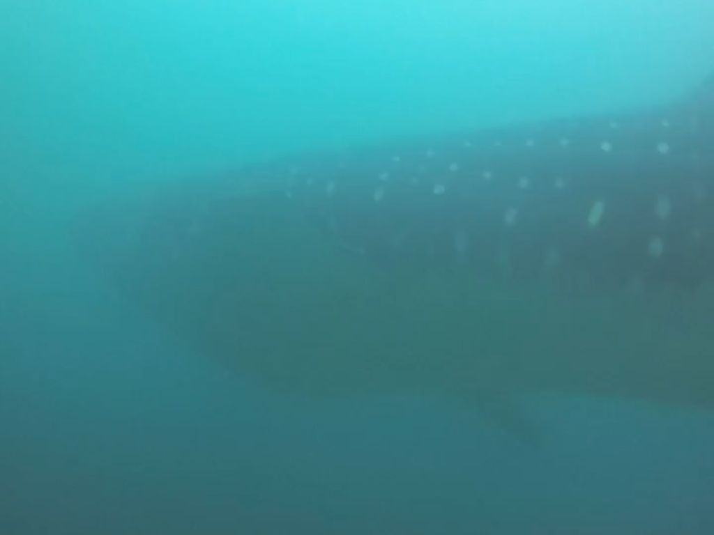 7d6cb9cb-c06c-4db2-9e43-50ba2c359c0b