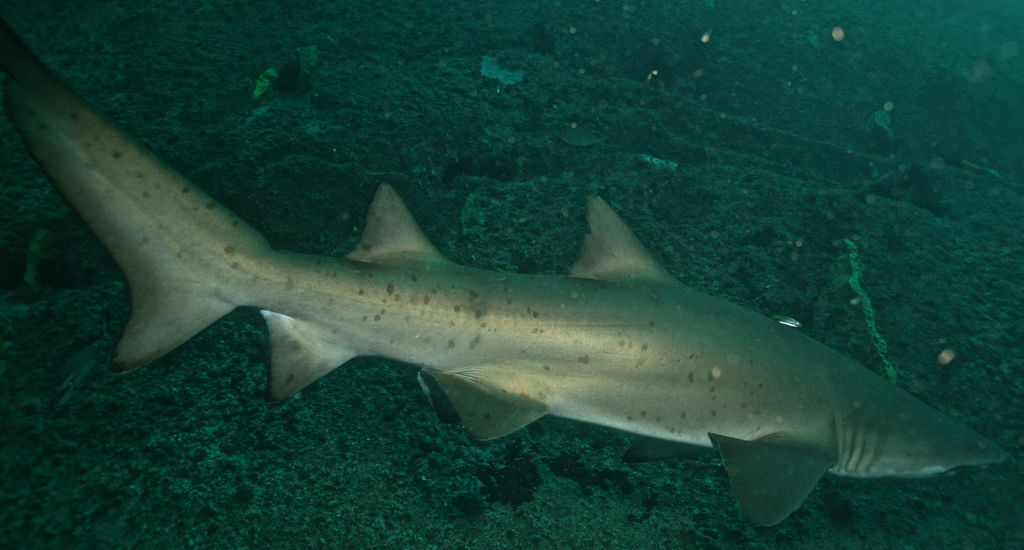 1fb95161-f21c-44d0-beb3-bd3e69a6fd6e