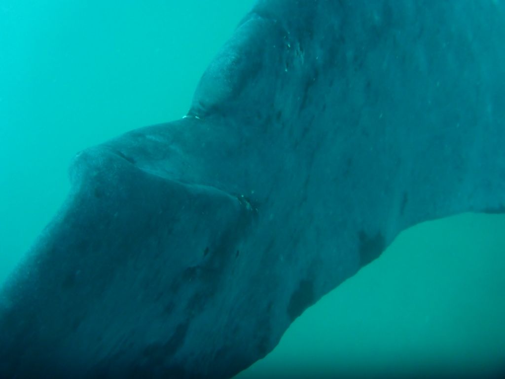 792a6100-5a73-48e6-9a2b-1a97f9929ad6