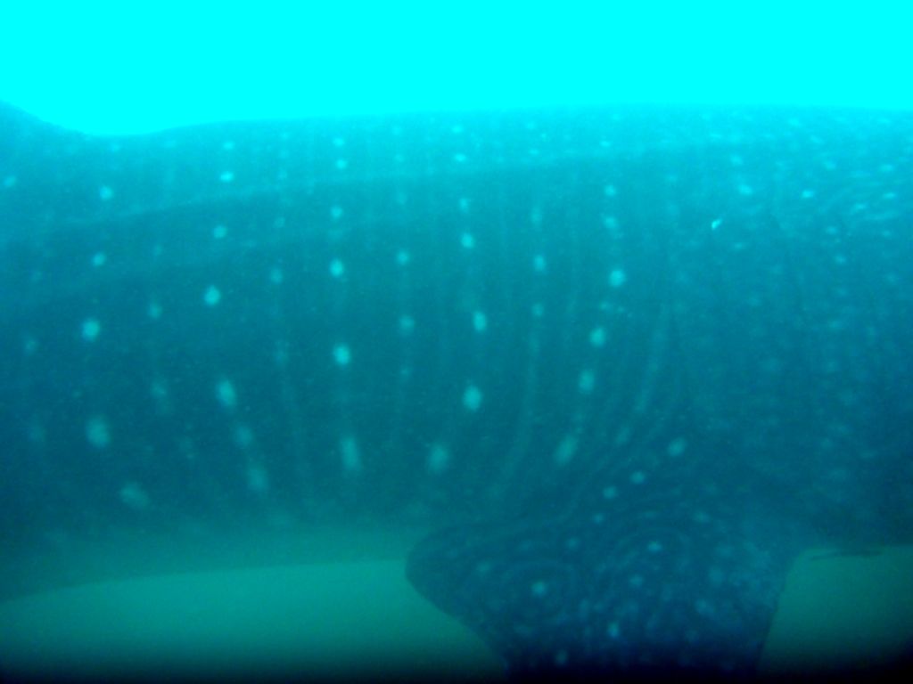 792a6100-5a73-48e6-9a2b-1a97f9929ad6