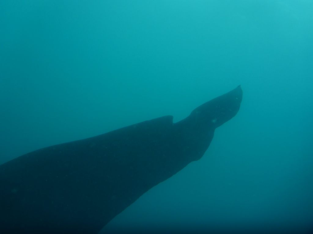 792a6100-5a73-48e6-9a2b-1a97f9929ad6