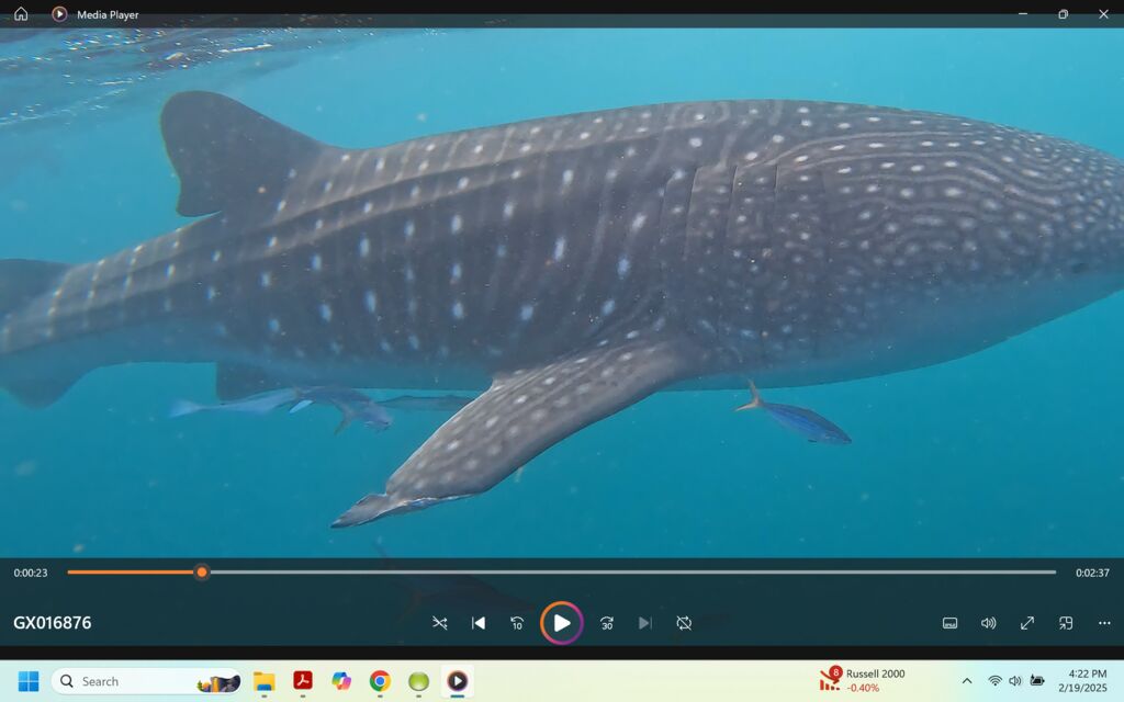 86ad932a-a857-4c0d-8720-bf7180b29f3d