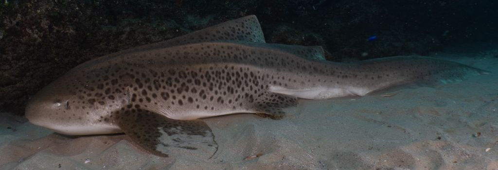 7207d33f-66de-4144-be05-85dfd8edede2