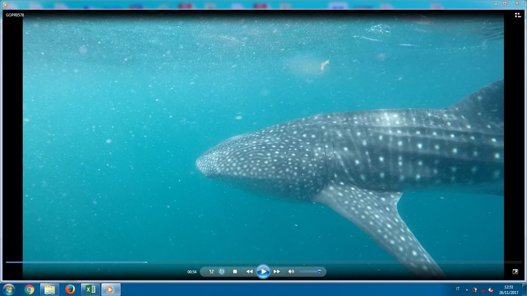 a041e620-9c67-47b1-ab7e-bc611806dc58