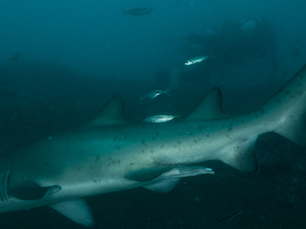 6abf613a-4f84-4d69-a169-6883235f38d4