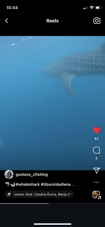 1b8a61bb-8a36-43c7-b20f-0e30d14d7a54