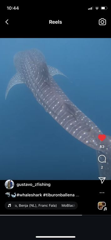 1b8a61bb-8a36-43c7-b20f-0e30d14d7a54