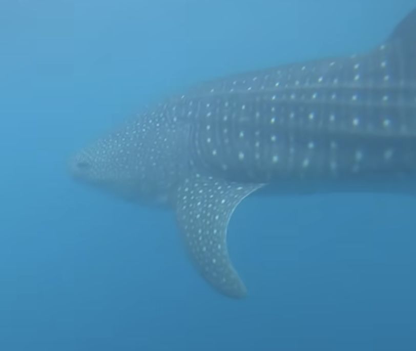 1b8a61bb-8a36-43c7-b20f-0e30d14d7a54