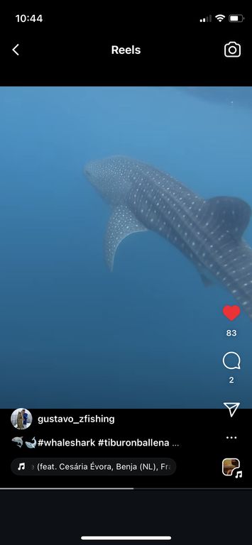 1b8a61bb-8a36-43c7-b20f-0e30d14d7a54