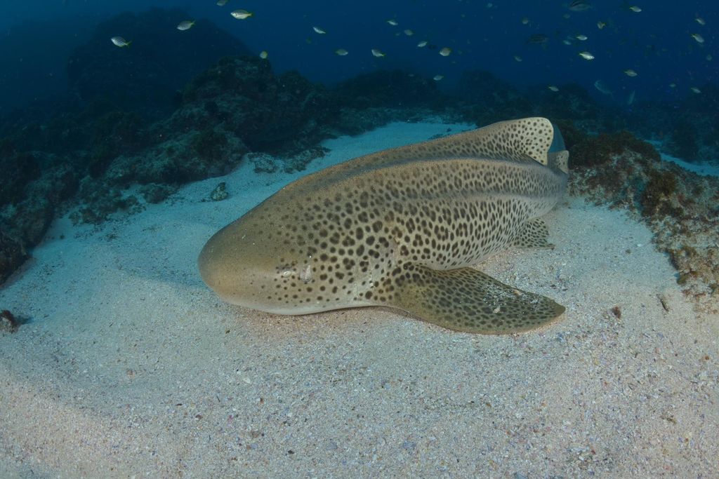 be9c2204-d4f9-41e0-a0d7-b3f62d560667