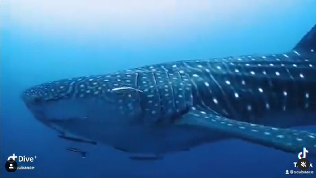 86eb1460-d530-4839-8df4-03a6ac4b4756