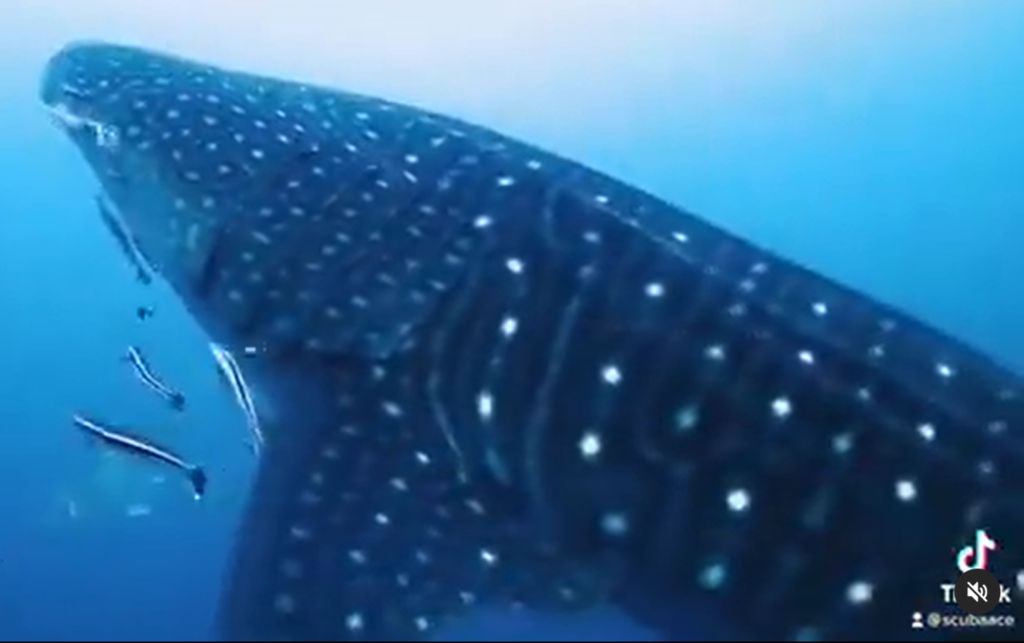 86eb1460-d530-4839-8df4-03a6ac4b4756