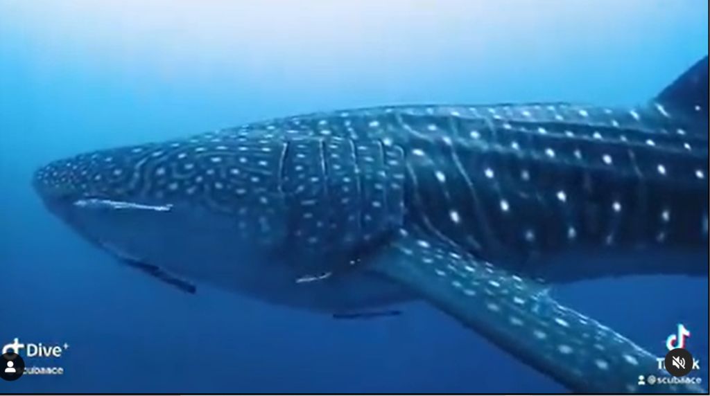 86eb1460-d530-4839-8df4-03a6ac4b4756