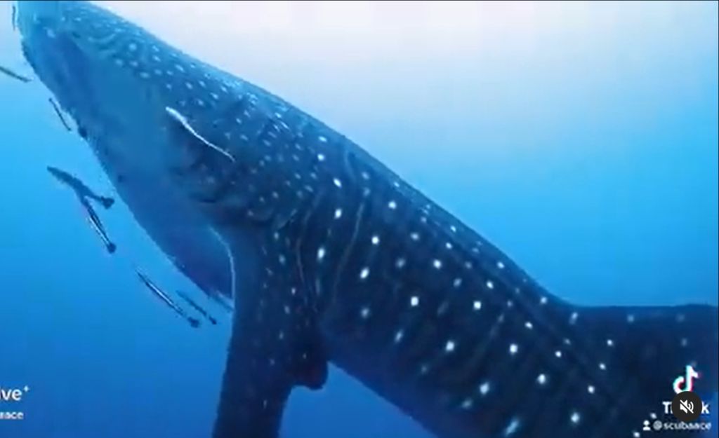 86eb1460-d530-4839-8df4-03a6ac4b4756