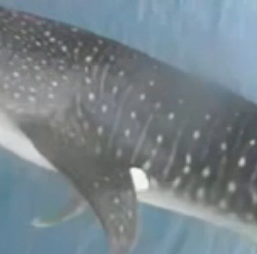 5d2f8daa-e2db-4270-a7ce-ac990dd62508